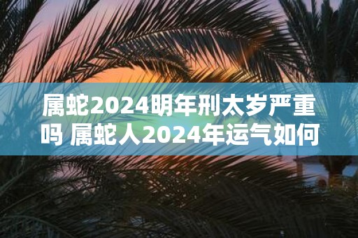 属蛇2024明年刑太岁严重吗 属蛇人2024年运气如何