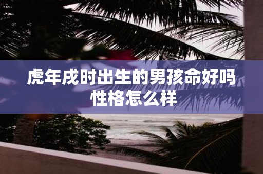 虎年戌时出生的男孩命好吗 性格怎么样