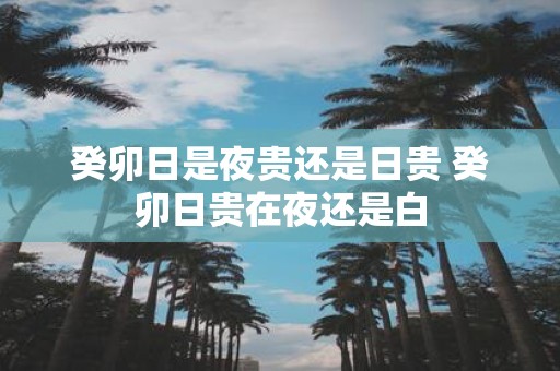 癸卯日是夜贵还是日贵 癸卯日贵在夜还是白