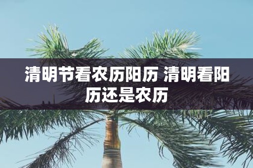清明节看农历阳历 清明看阳历还是农历