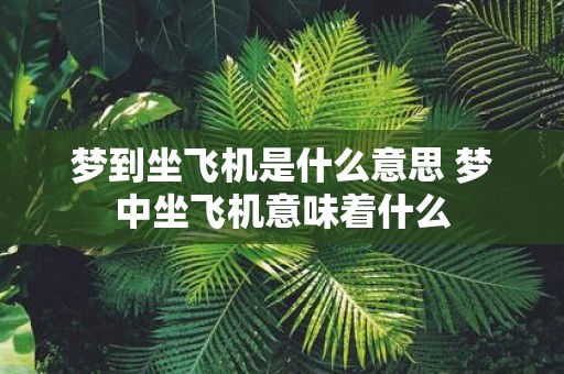 梦到坐飞机是什么意思 梦中坐飞机意味着什么