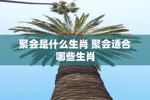 聚会是什么生肖 聚会适合哪些生肖