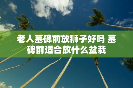 老人墓碑前放狮子好吗 墓碑前适合放什么盆栽