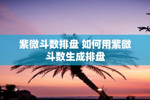 紫微斗数排盘 如何用紫微斗数生成排盘