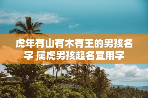 虎年有山有木有王的男孩名字 属虎男孩起名宜用字