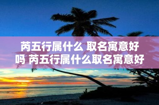 芮五行属什么 取名寓意好吗 芮五行属什么取名寓意好吗