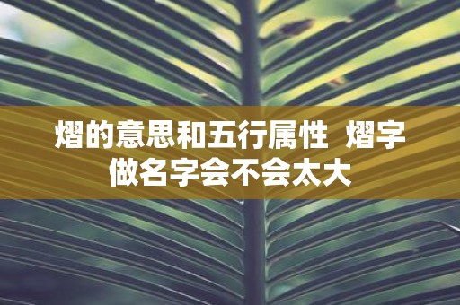 熠的意思和五行属性 熠字做名字会不会太大