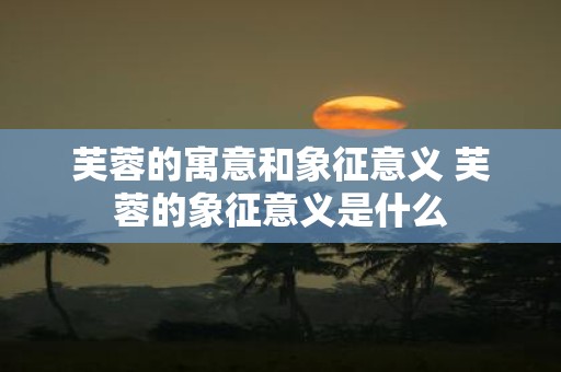 芙蓉的寓意和象征意义 芙蓉的象征意义是什么