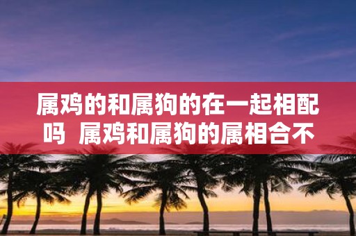 属鸡的和属狗的在一起相配吗 属鸡和属狗的属相合不合