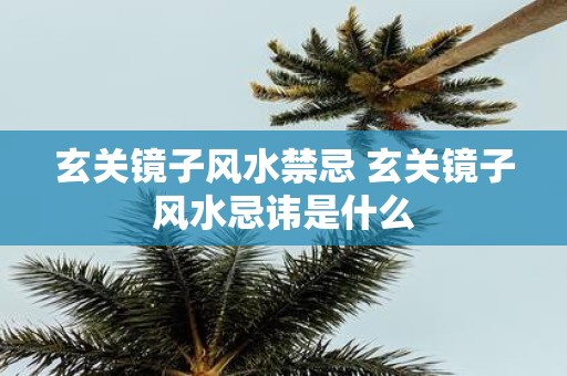 玄关镜子风水禁忌 玄关镜子风水忌讳是什么