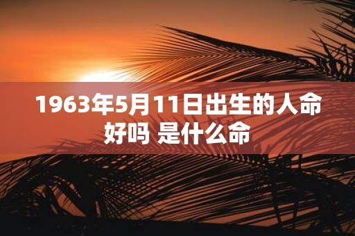 1963年5月11日出生的人命好吗 是什么命 1963年5月11日出生的人命好吗 是什么命