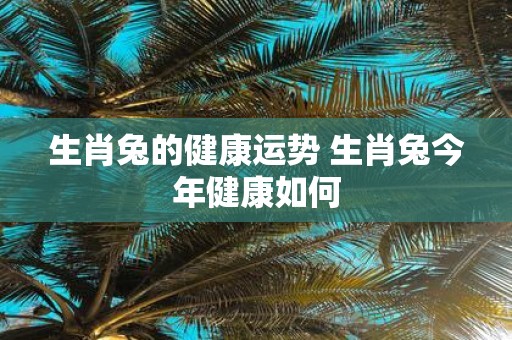 生肖兔的健康运势 生肖兔今年健康如何