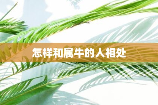 怎样和属牛的人相处
