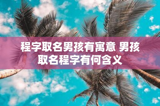 程字取名男孩有寓意 男孩取名程字有何含义