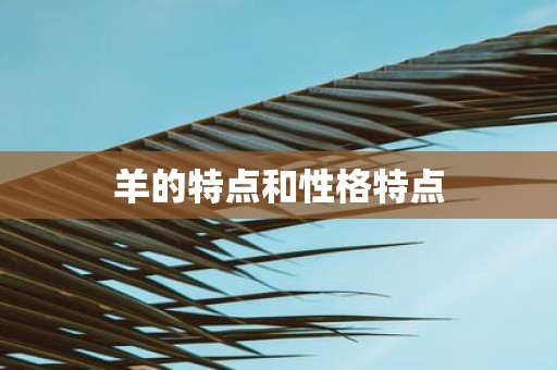 羊的特点和性格特点