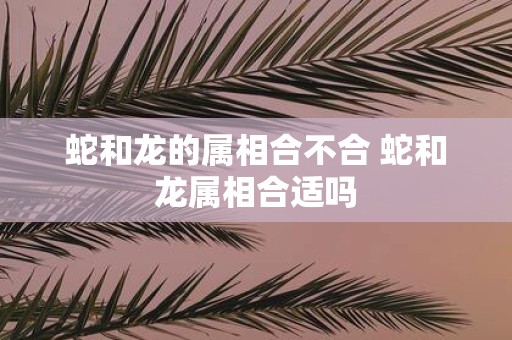 蛇和龙的属相合不合 蛇和龙属相合适吗