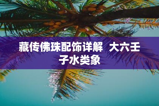 藏传佛珠配饰详解 大六壬子水类象