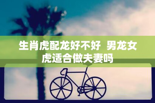 生肖虎配龙好不好 男龙女虎适合做夫妻吗