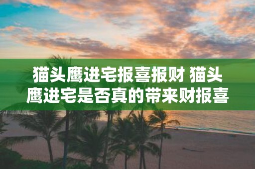 猫头鹰进宅报喜报财 猫头鹰进宅是否真的带来财报喜