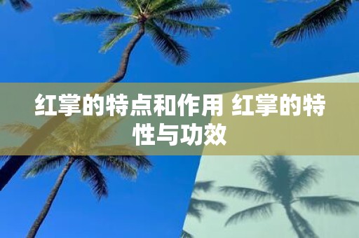 红掌的特点和作用 红掌的特性与功效