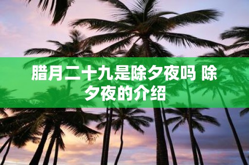 腊月二十九是除夕夜吗 除夕夜的介绍