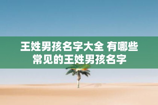 王姓男孩名字大全 有哪些常见的王姓男孩名字