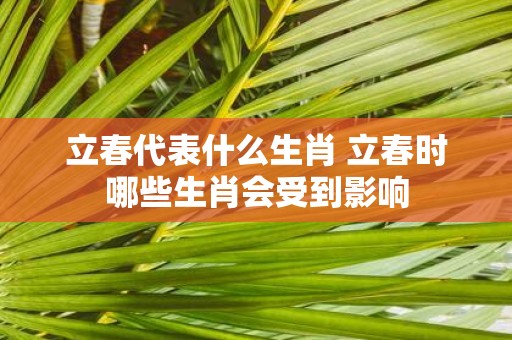 立春代表什么生肖 立春时哪些生肖会受到影响