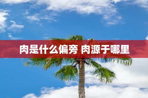 肉是什么偏旁 肉源于哪里