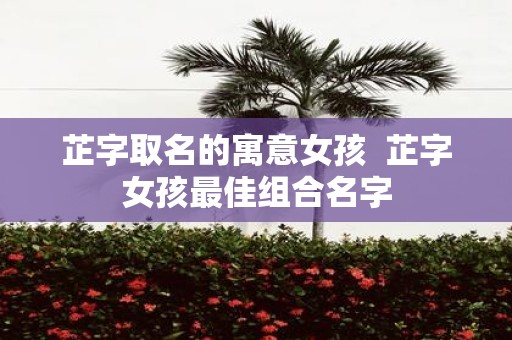 芷字取名的寓意女孩 芷字女孩最佳组合名字