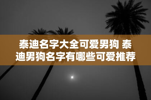 泰迪名字大全可爱男狗 泰迪男狗名字有哪些可爱推荐