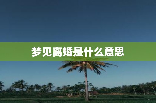梦见离婚是什么意思