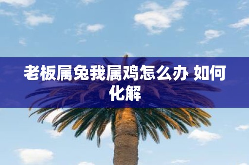 老板属兔我属鸡怎么办 如何化解