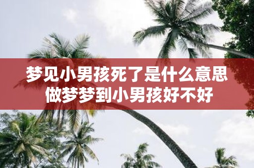 梦见小男孩死了是什么意思 做梦梦到小男孩好不好