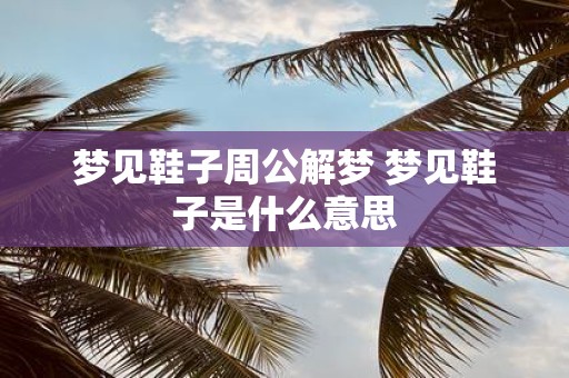 梦见鞋子周公解梦 梦见鞋子是什么意思