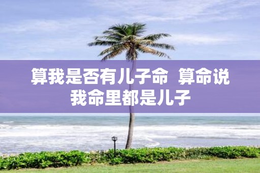 算我是否有儿子命 算命说我命里都是儿子