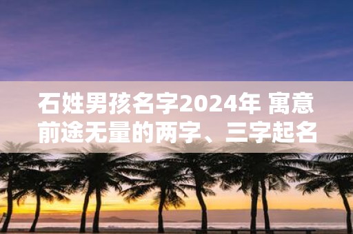 石姓男孩名字2025年 寓意前途无量的两字、三字起名
