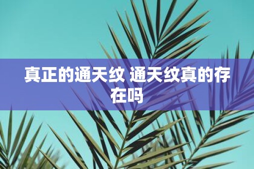 真正的通天纹 通天纹真的存在吗