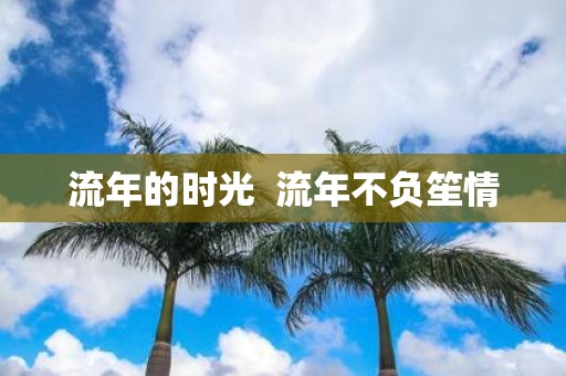 流年的时光 流年不负笙情