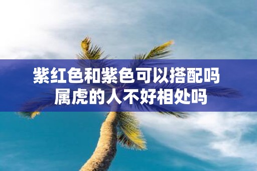紫红色和紫色可以搭配吗 属虎的人不好相处吗