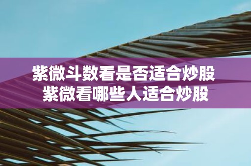 紫微斗数看是否适合炒股 紫微看哪些人适合炒股