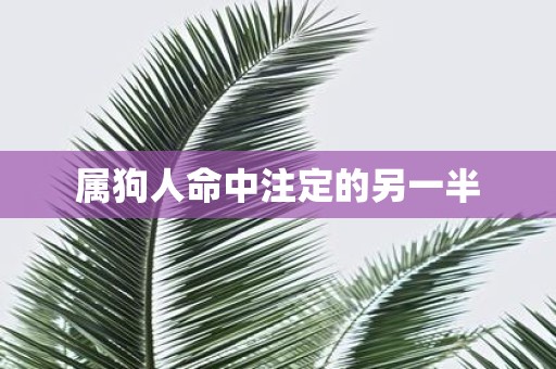 属狗人命中注定的另一半