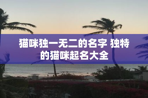 猫咪独一无二的名字 独特的猫咪起名大全