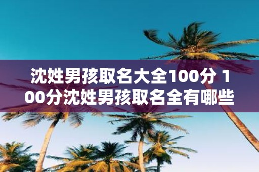 沈姓男孩取名大全100分 100分沈姓男孩取名全有哪些