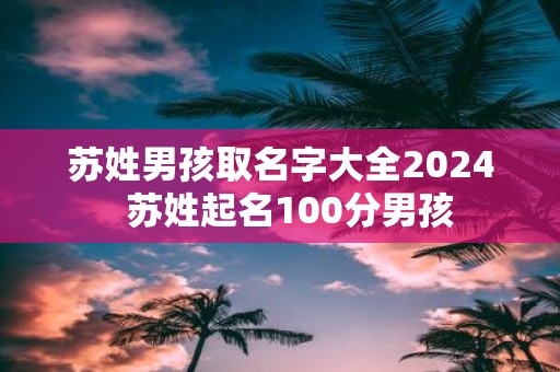 苏姓男孩取名字大全2025 苏姓起名100分男孩