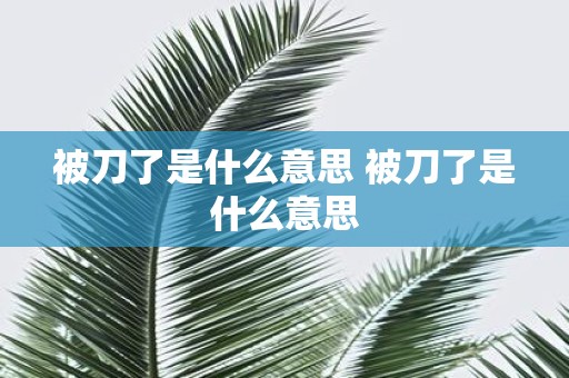 被刀了是什么意思 被刀了是什么意思