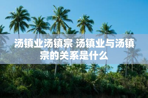 汤镇业汤镇宗 汤镇业与汤镇宗的关系是什么