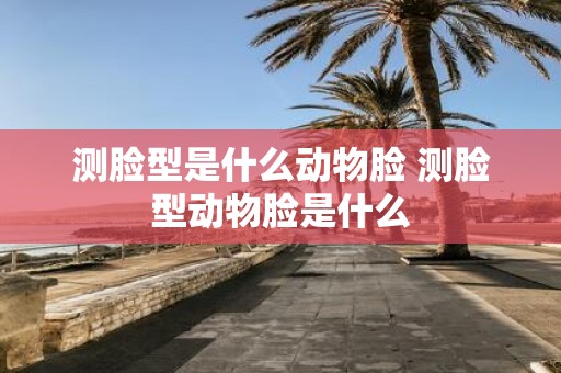 测脸型是什么动物脸 测脸型动物脸是什么