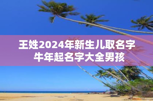 王姓2025年新生儿取名字 牛年起名字大全男孩