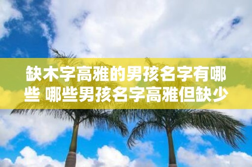 缺木字高雅的男孩名字有哪些 哪些男孩名字高雅但缺少木字