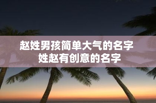 赵姓男孩简单大气的名字 姓赵有创意的名字